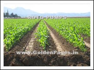 > </div>
<div class=